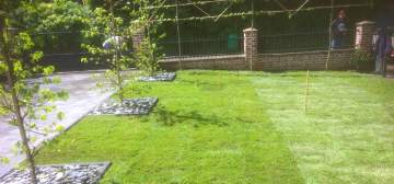 Entretien d'espaces verts et conception
Nos services
En savoir plus